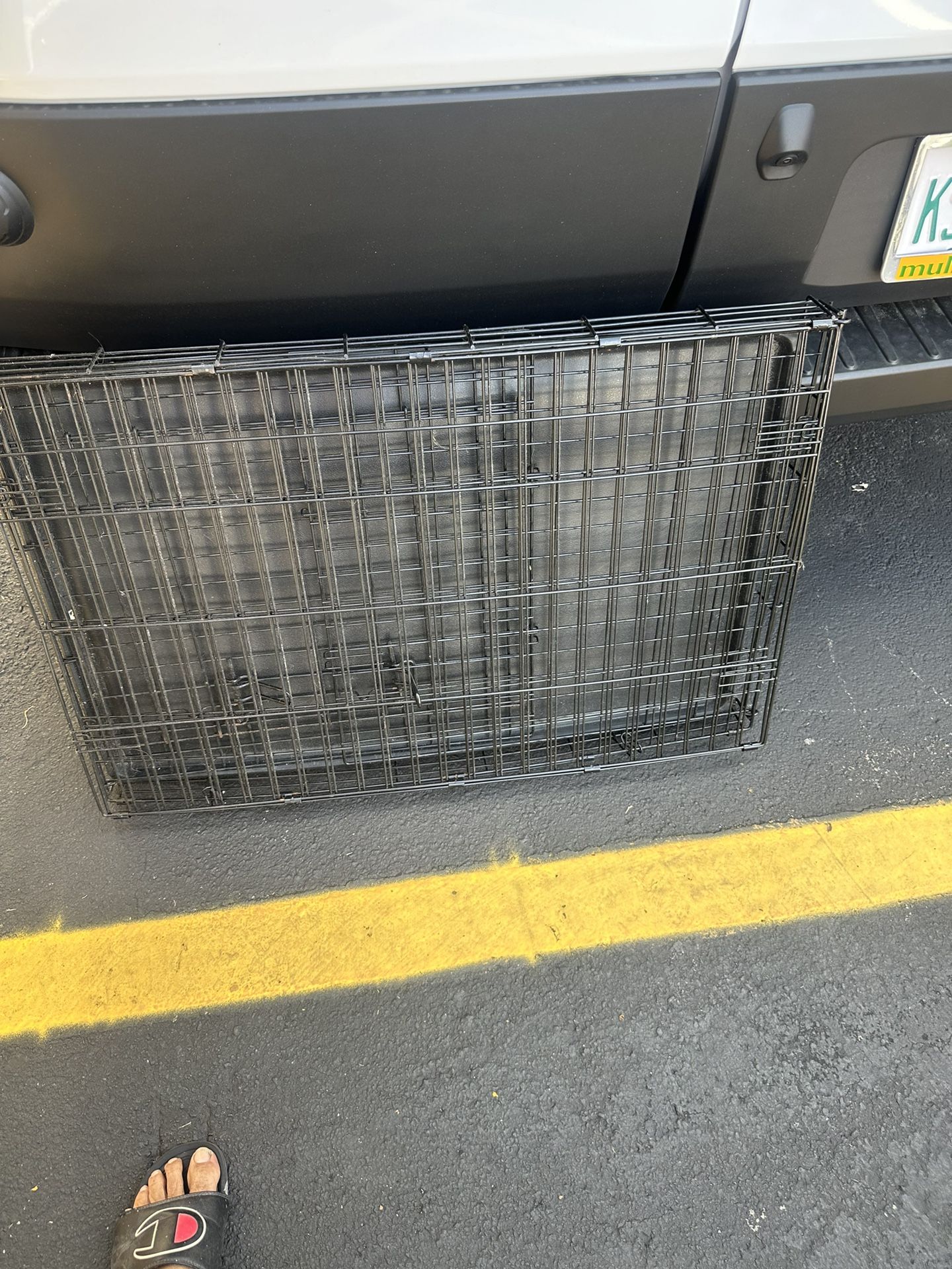 Dog Case