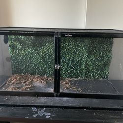 Reptile Terrarium For Sale