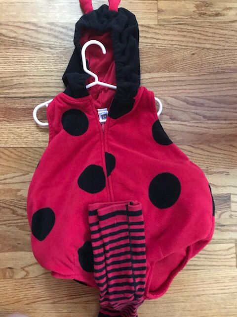 Ladybug costume 24 months