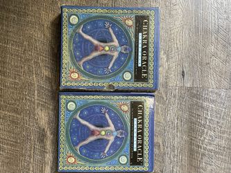 Chakras Travel Size Book❤️🔥