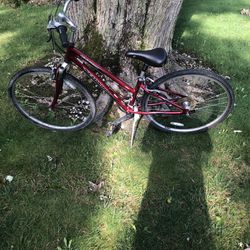 28” Schwinn Hyrbid Bike