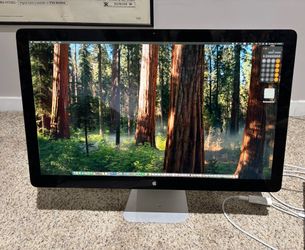 Apple monitor