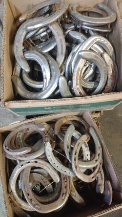 Used horse shoes and rasps