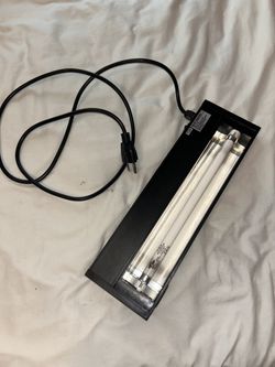 UV reptile light