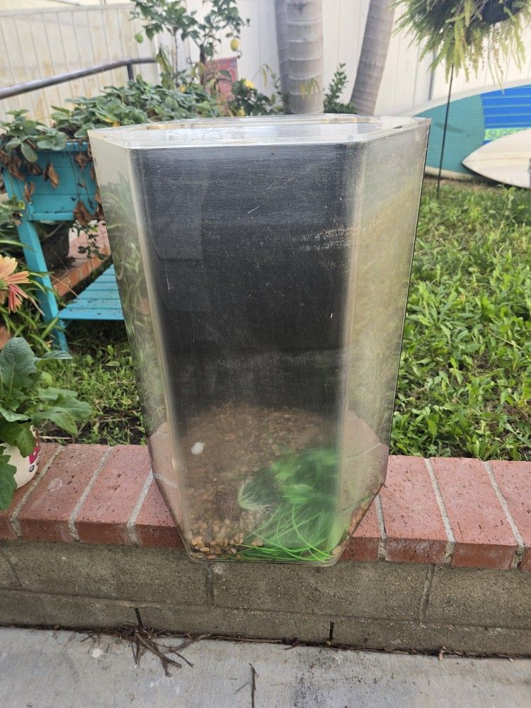 30gal Acrylic Fish Tank