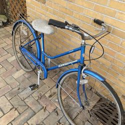Collate Schwinn Bike