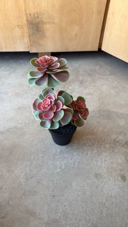 Decoration Pot
