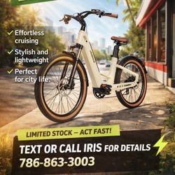 ⚡️ ELECTRIC BIKE ⚡️