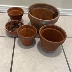 5 Plant Pots in Great Condition 
