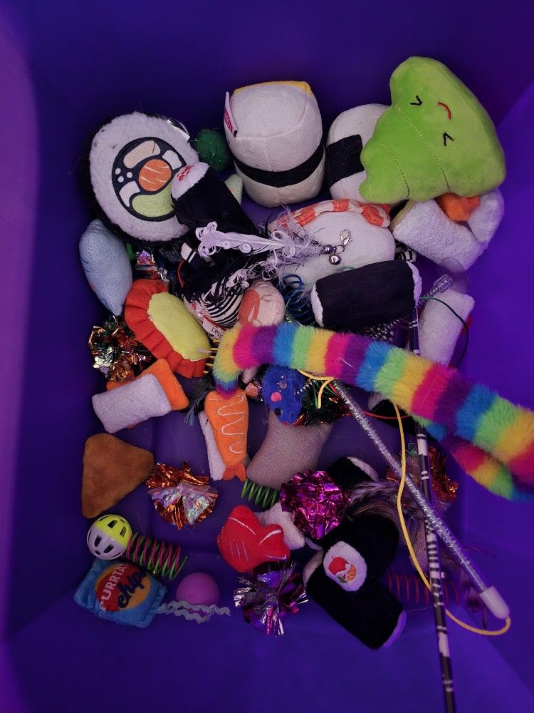 Lots Of Cat Toys Springs Catnip