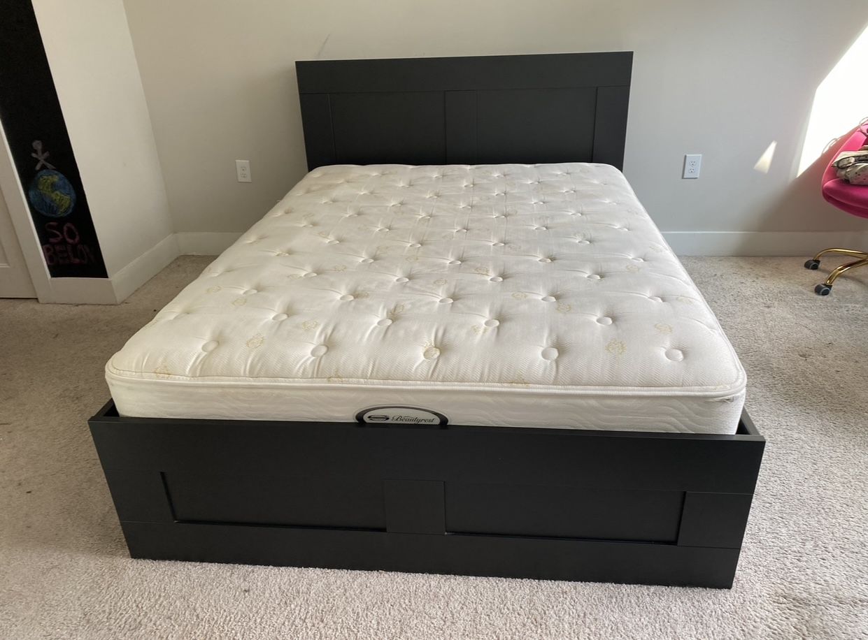 Used IKEA Queen Bed Frame - Malm (Black-Brown)