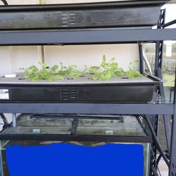 Aquaponics System With 150 Gallon Tank And Stand