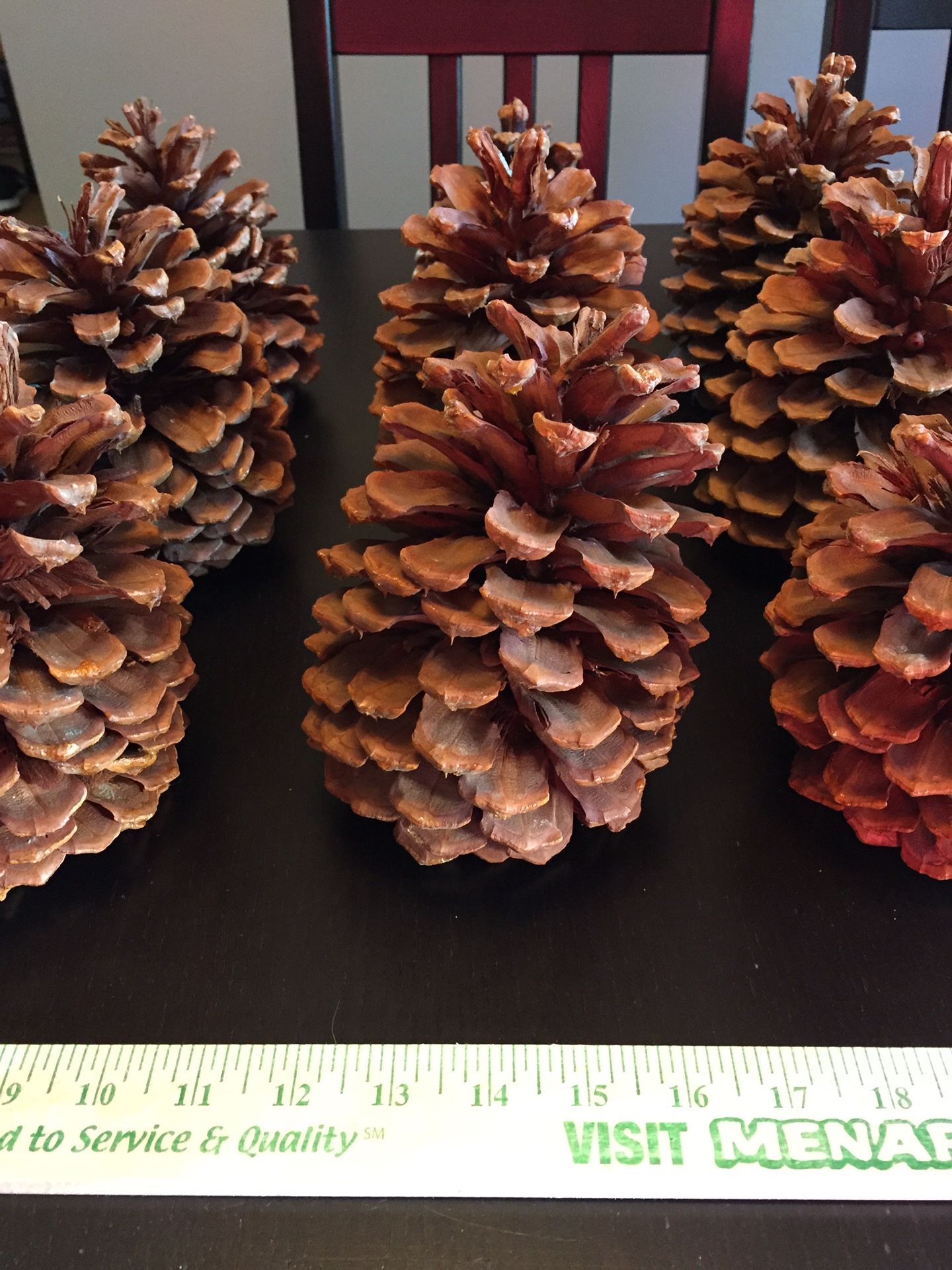 Very Large Pinecones ($1 each)—see all pics for measurements