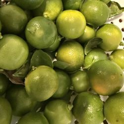 $6 For 2lbs Calamansi 