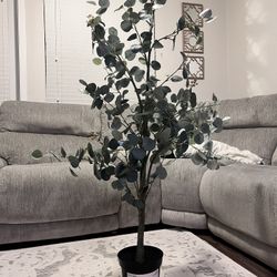 Faux Eucalyptus Tree (new)