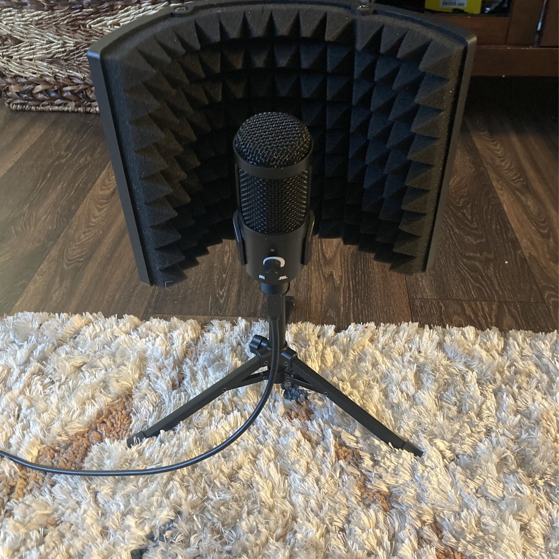 Riworal Studio Microphone With Isolation Shield And Pop Filter Metal Tripod Stand