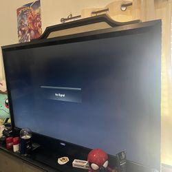 55 Inch TV 