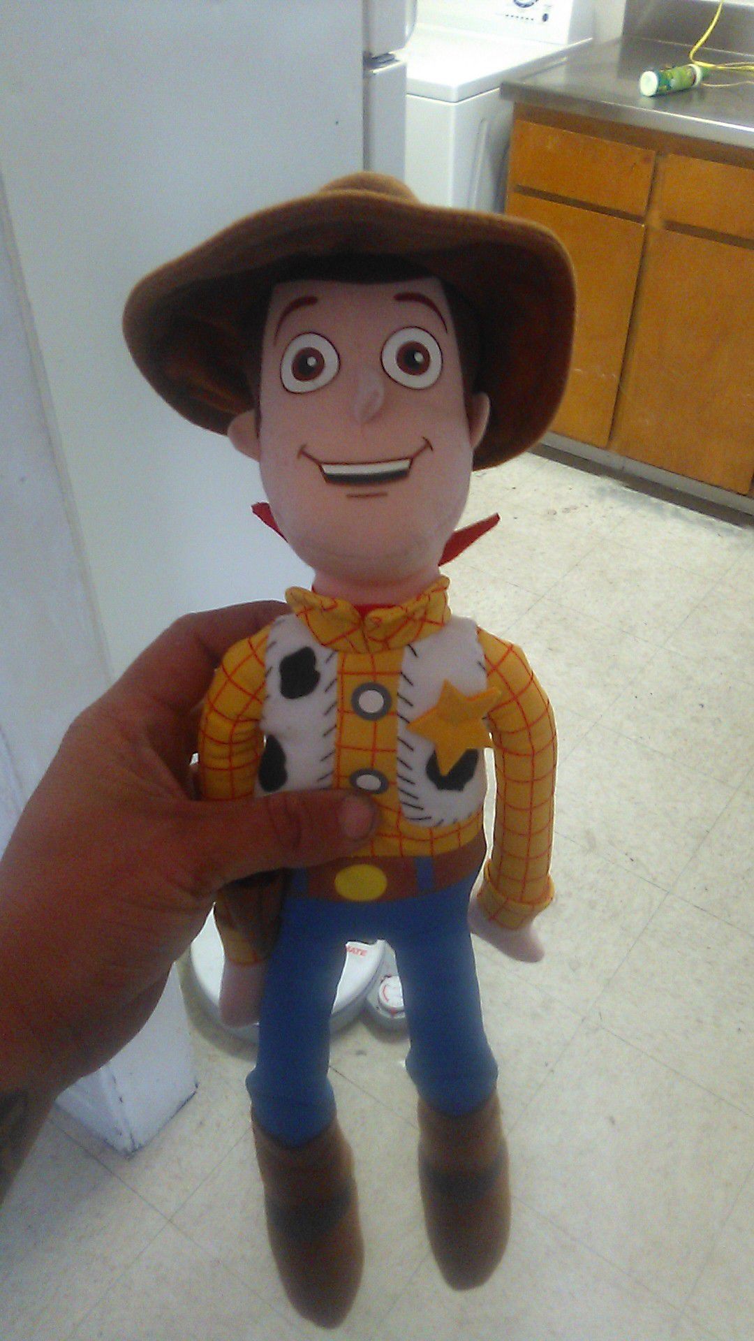 Woody disneyland Pixar collectable