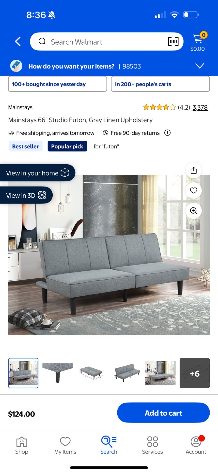 Futon Couch
