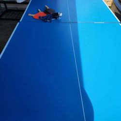 Joola Ping Pong/Table Tennis Table