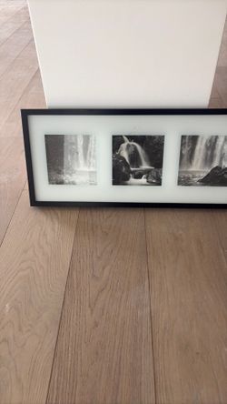 Natural pictures with black fram and glass cover