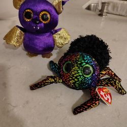 The Beanie Boo's Collection In Spring Hill