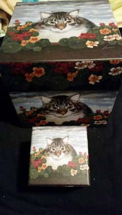 cat boxes for storage