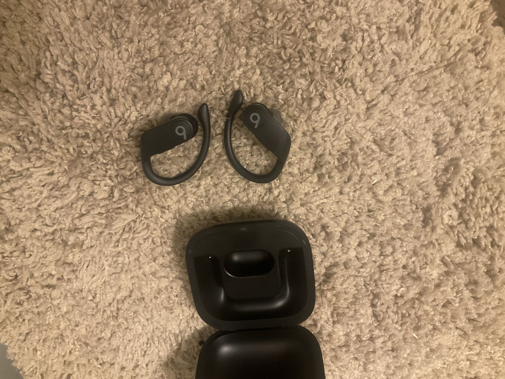 Earphones