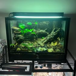 ReptiZoo Bioactive Enclosure Complete Set Up - 18x18x24