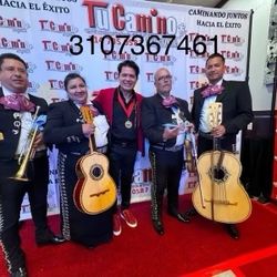 Violín 🎻 De Mariachi 