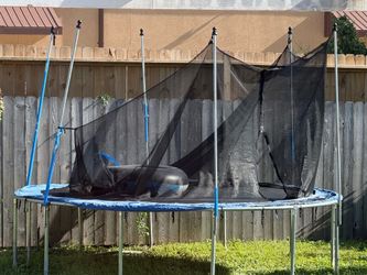 Trampoline