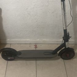 Need to get both of them gone