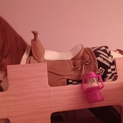 A Horse For A American Girl Doll