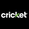 Cricket union gap