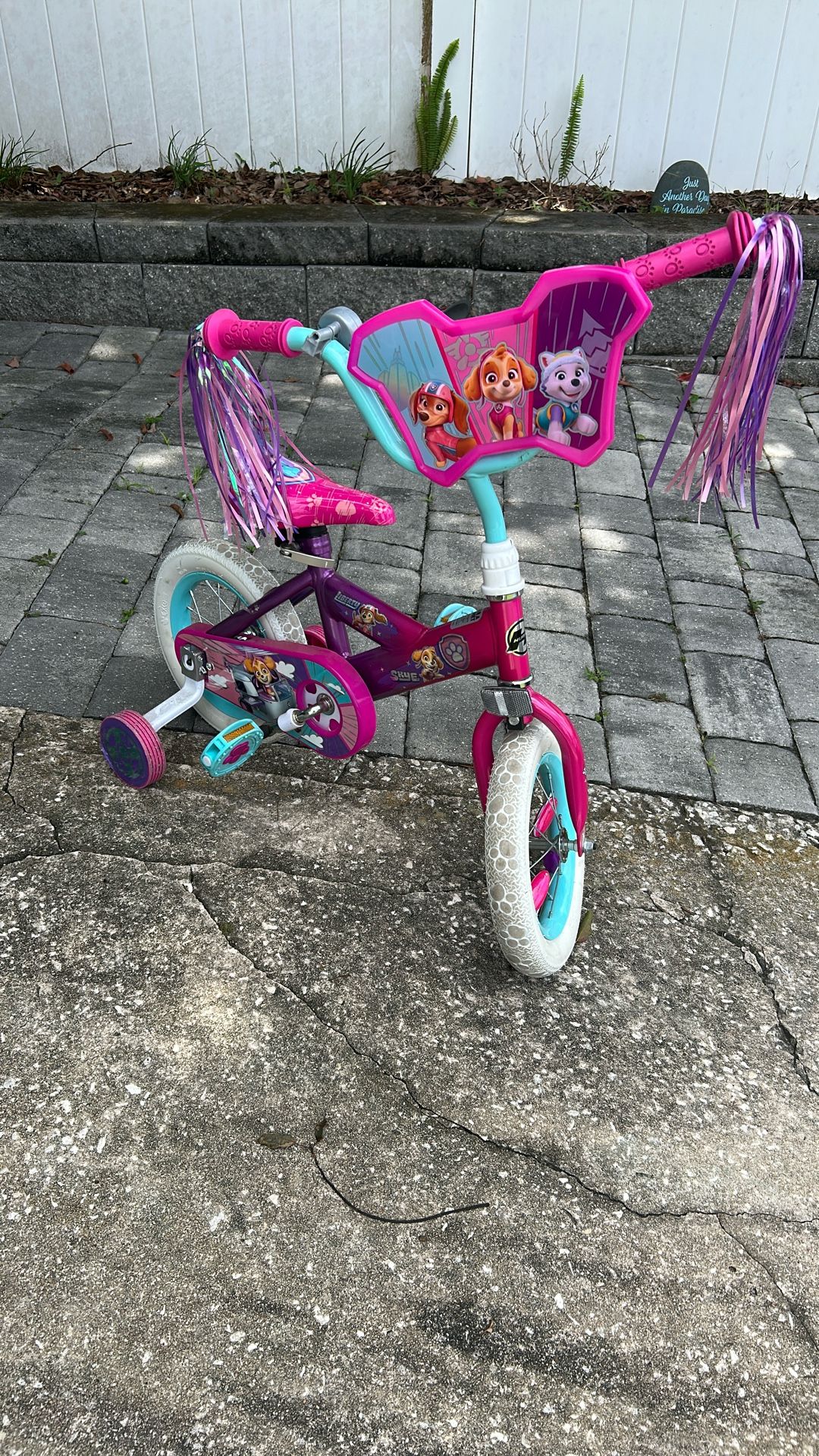 Paw Patrol Bike