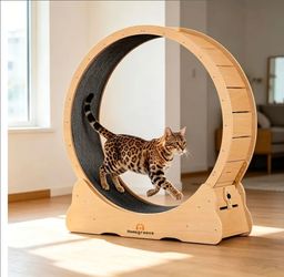 Cat Exercise Wheel, 46" XL