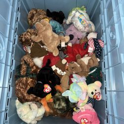 TY Beanie Babies