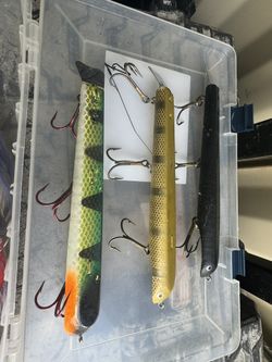 Fishing Baits