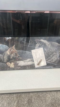 Wolf canvas