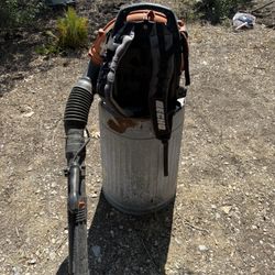 Echo Leaf Blower