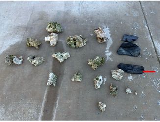 Texas Holey Rock Lot-$150