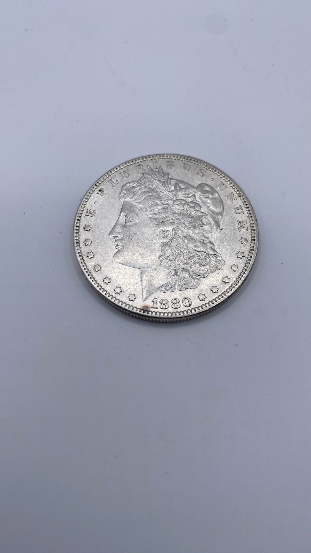 Silver 1880 /P Morgan 