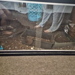 Terrerarium Enclosures