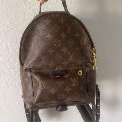 louis vuitton  Lather Backpack 