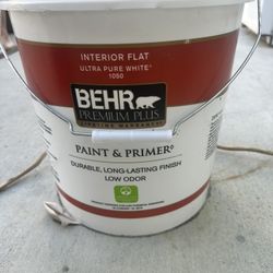 BEHR PAINT WHITE FLAT
