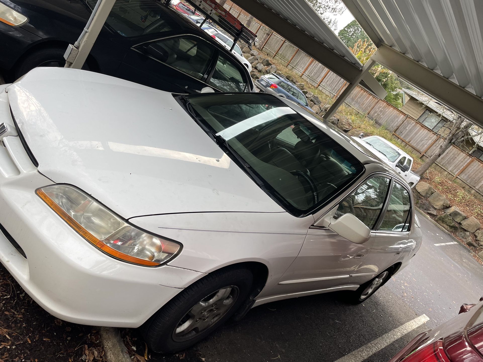 Honda Accord V6