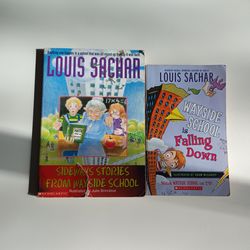 Louis Sachar books