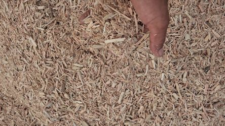 Playground Wood Chip