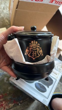 Harry Potter tea pot