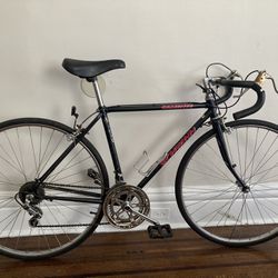 Schwinn Caliente Road Bike